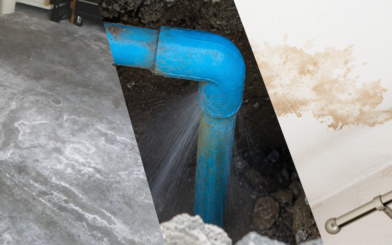 Concrete efflorescence leaking underground pipe and interior wall moisture damage